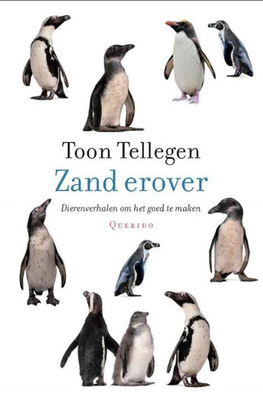 Toon tellegen: zand erover. cadeauboekje