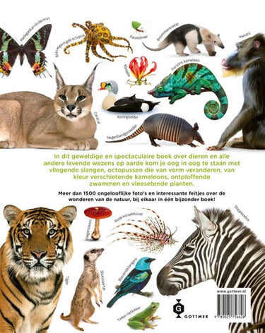 Het dierenboek. 8+