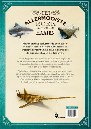 Het allermooiste boek over haaien.