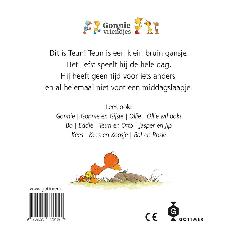 Load image into Gallery viewer, Gonnie: teun (karton). 2+
