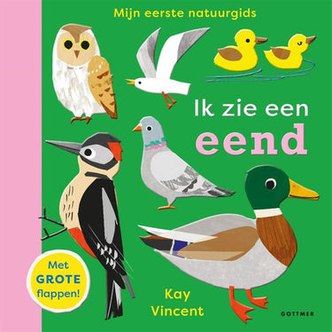Ik zie een eend 2+