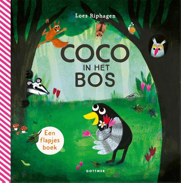 Kartonboek: coco in het bos 1+