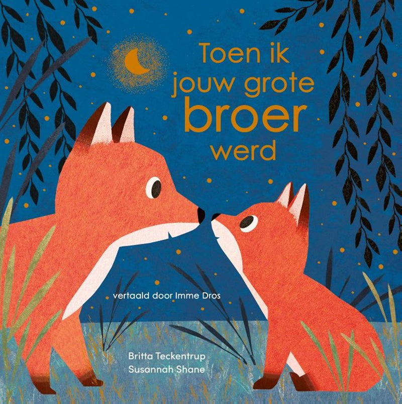 Load image into Gallery viewer, Toen ik jouw grote broer werd 3+
