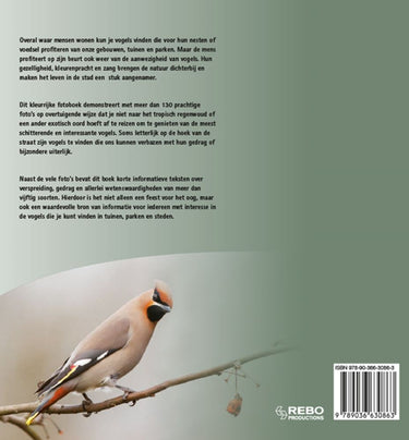 Vogels van tuin, park en stad in europa