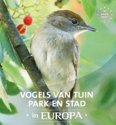 Vogels van tuin, park en stad in europa
