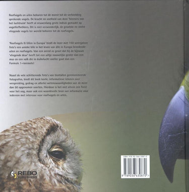 Roofvogels uilen in europa volwassene
