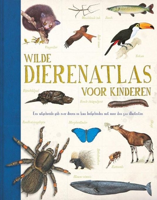 Rebo publishers wilde dierenatlas voor kinderen. 6+