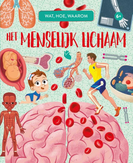 Rebo publishers het menselijk lichaam - wat, hoe, waarom