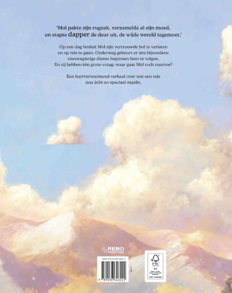 Load image into Gallery viewer, Rebo publishers prentenboek: de reis. 4+
