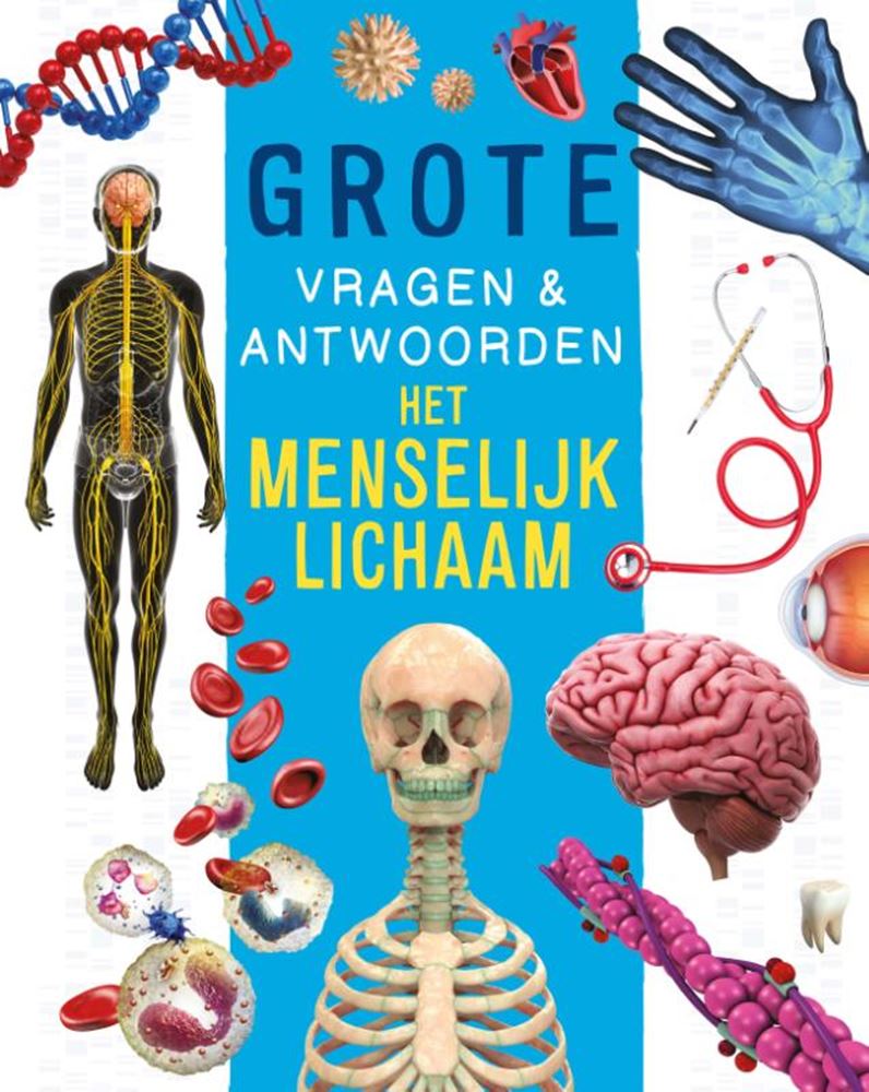 Load image into Gallery viewer, Rebo publishers het menselijk lichaam - grote vragen antwoorden
