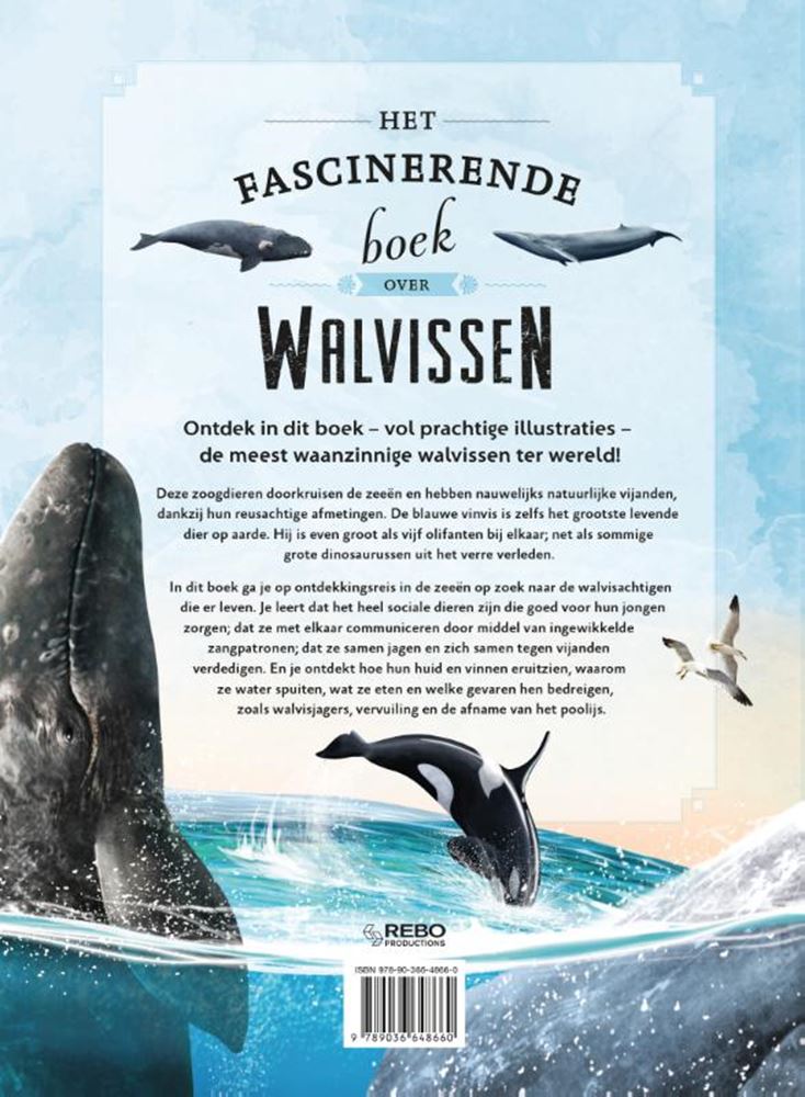 Load image into Gallery viewer, Het fascinerende boek over walvissen 6+
