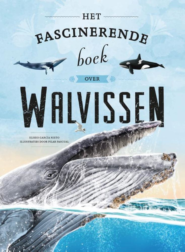 Load image into Gallery viewer, Het fascinerende boek over walvissen 6+
