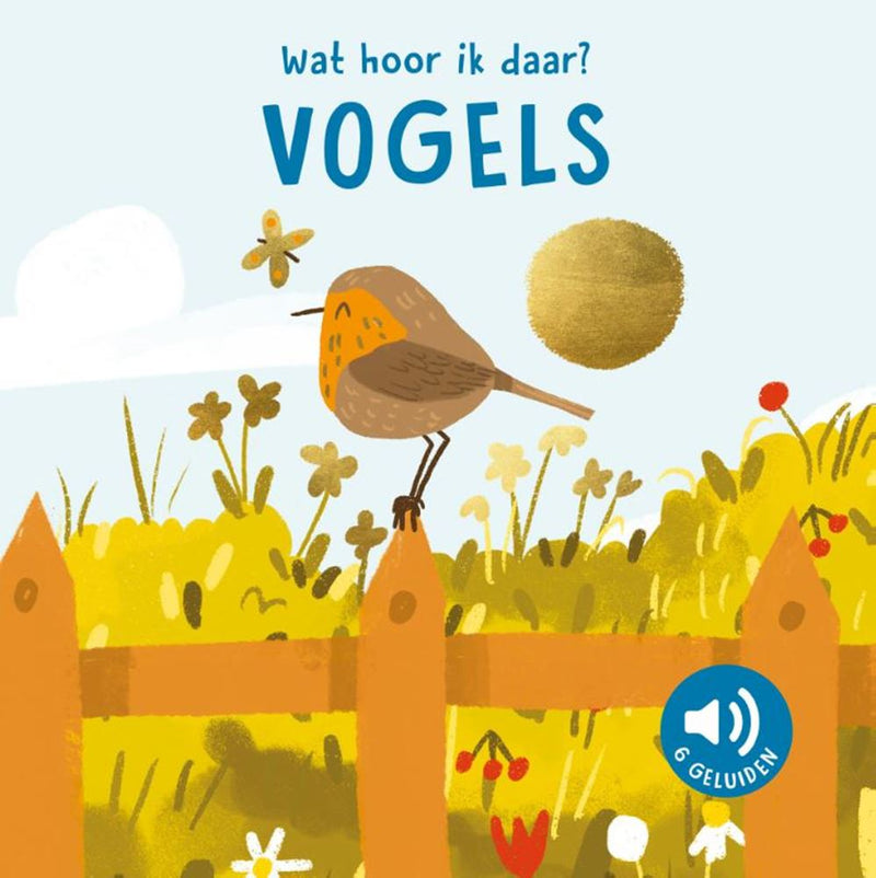 Load image into Gallery viewer, Rebo publishers vogels - wat hoor ik daar? - 6 geluiden
