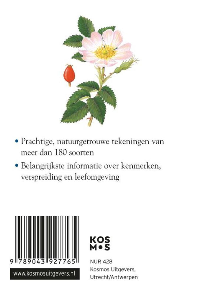 Load image into Gallery viewer, Compactgids: bloemen (pb)
