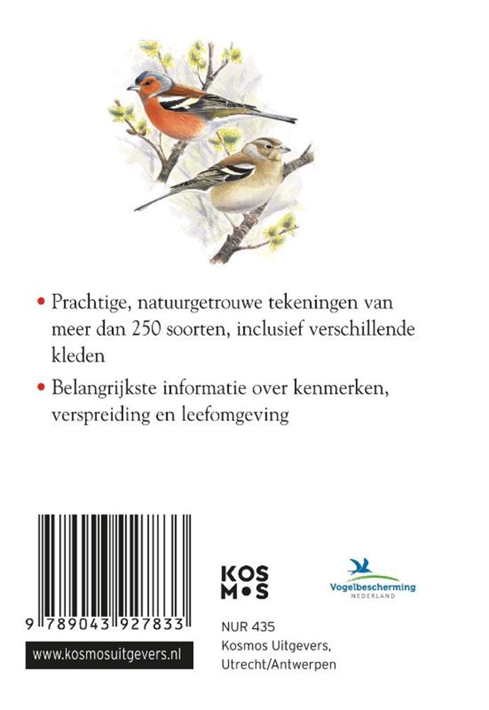 Load image into Gallery viewer, Compactgids: vogels (pb)
