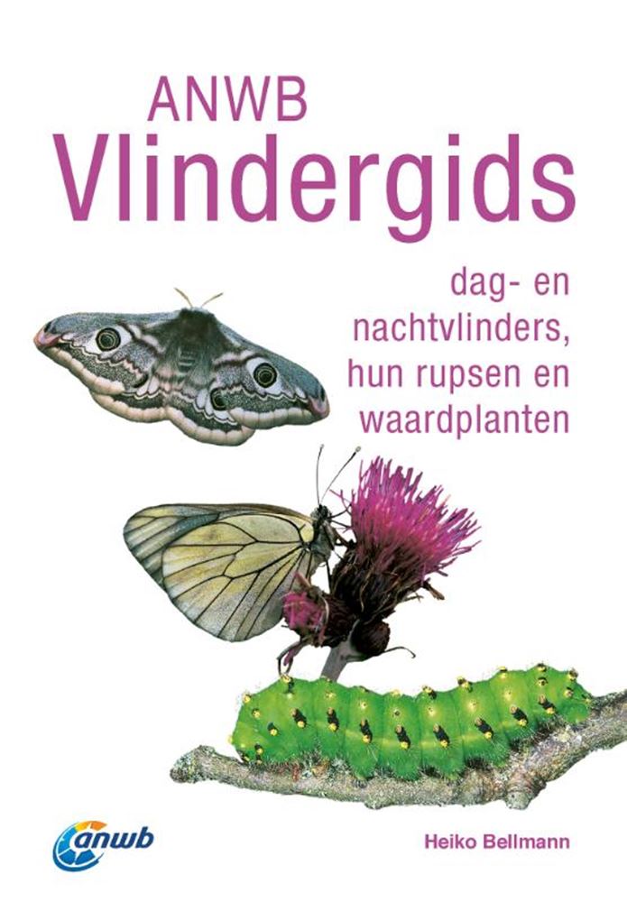 Load image into Gallery viewer, Anwb vlindergids volwassene
