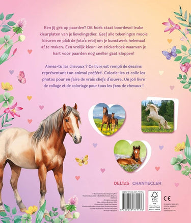 Deltas dream horses sticker parade - kleurboek