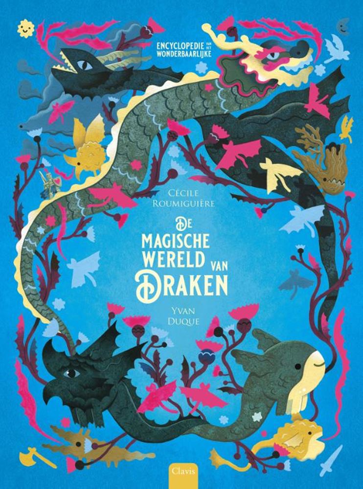Load image into Gallery viewer, De magische wereld van draken 12+

