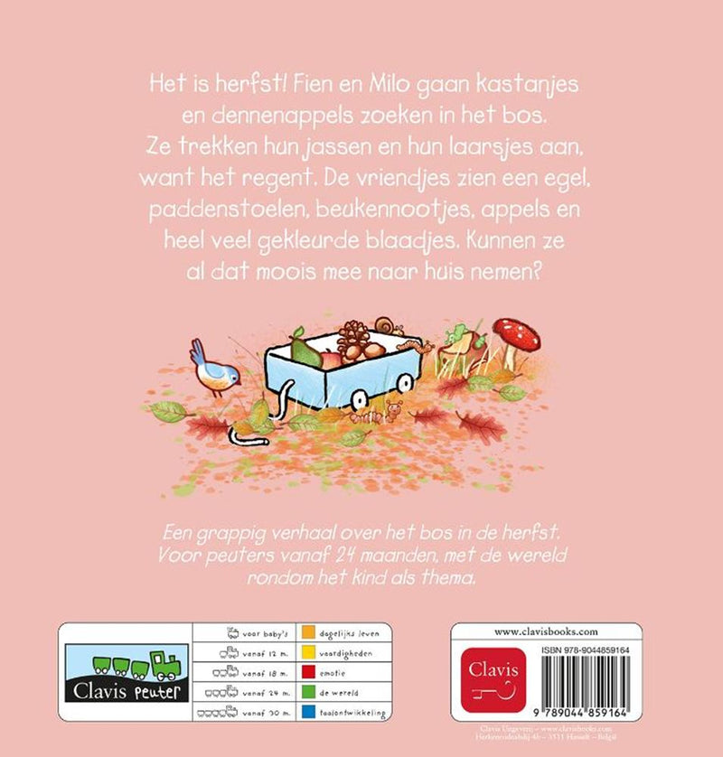 Load image into Gallery viewer, Centraal boekhuis kartonboek: herfst met fien en milo 2+
