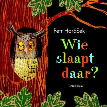 Flapjesboek: wie slaapt daar (karton) 4+