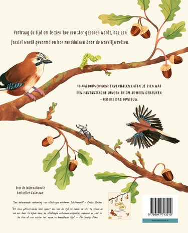 Kalm aan...en kijk om je heen. 8+