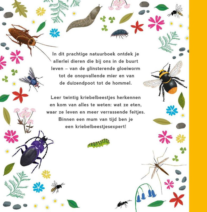 Load image into Gallery viewer, Mijn eerste kriebelbeestjesboek. 4+
