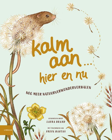 Kalm aan...hier en nu. 8+