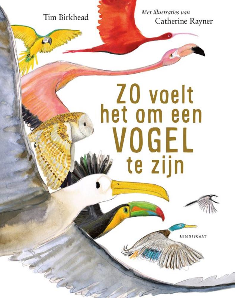 Load image into Gallery viewer, Zo voelt het om een vogel te zijn 9+
