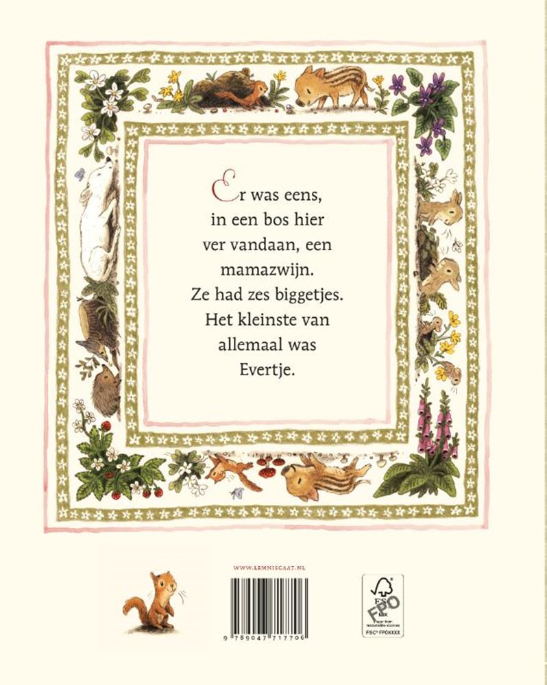 Load image into Gallery viewer, Prentenboek: evertje 4+

