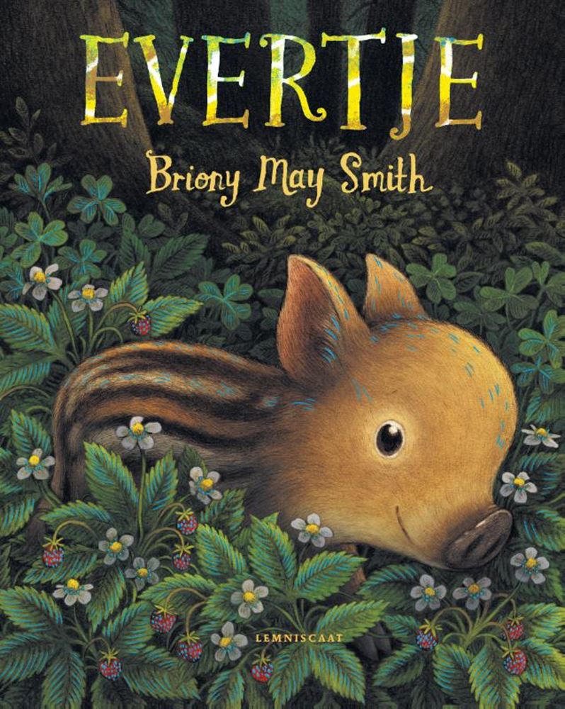 Load image into Gallery viewer, Prentenboek: evertje 4+
