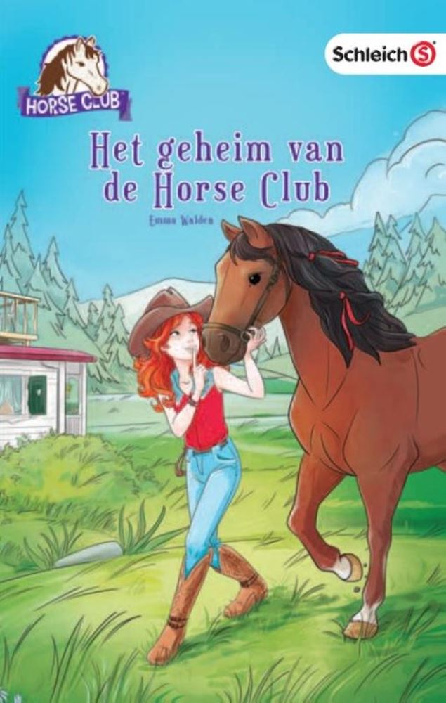 Load image into Gallery viewer, Het geheim van de horse club. 7+
