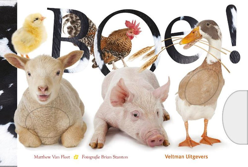 Load image into Gallery viewer, Kijk en voelboek: boe! 1+
