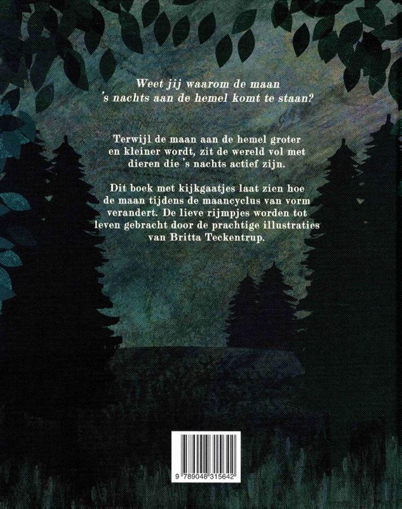 Load image into Gallery viewer, Prentenboek: in de maneschijn. 2+
