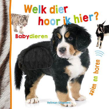 Welk dier hoor ik hier? babydieren. 1+