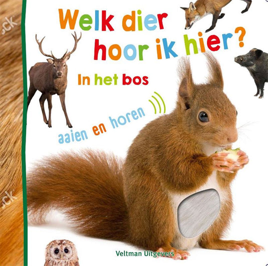 Welk dier hoor ik hier? - in het bos 1+