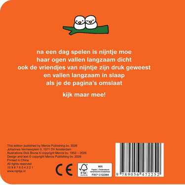 Nijntje vensterboek, oogjes open oogjes