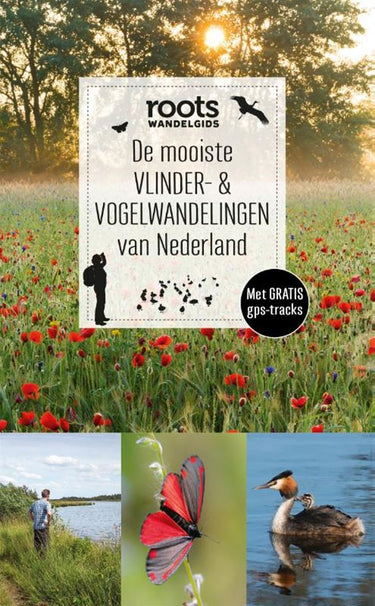De mooiste vlinder- van nederland (pb)