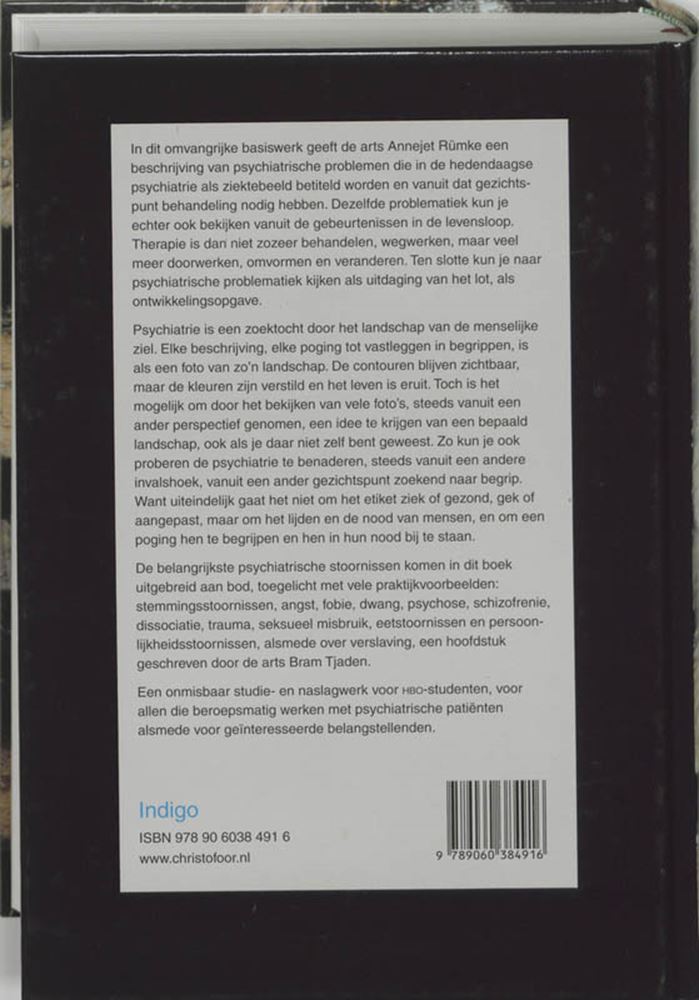 Load image into Gallery viewer, Verkenningen in de psychiatrie
