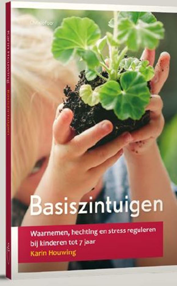 Load image into Gallery viewer, Basiszintuigen.
