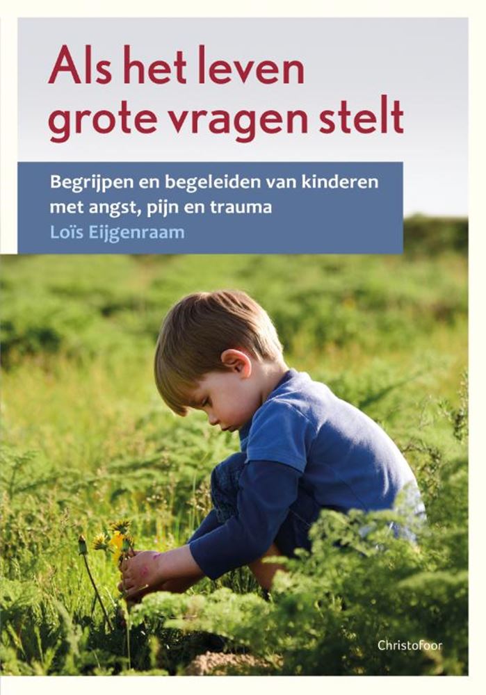 Load image into Gallery viewer, Als het leven grote vragen stelt
