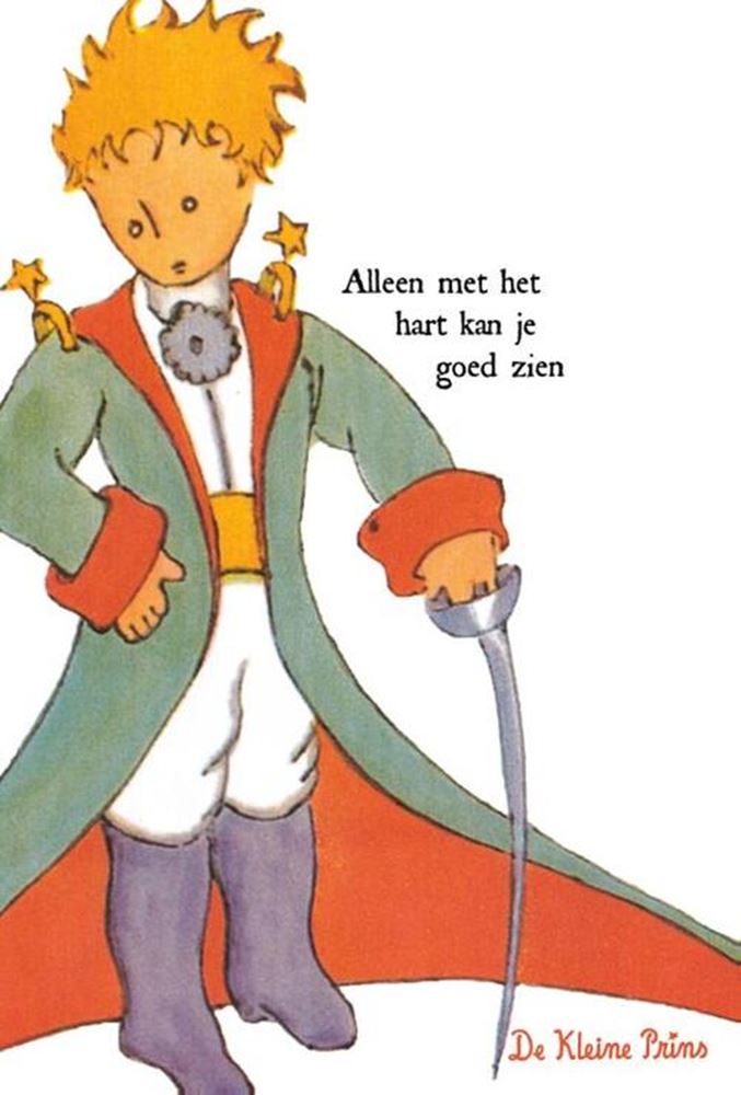 Load image into Gallery viewer, Merkloos sans marque de kleine prins wenskaarten met envelop,set 10 ex.assorti
