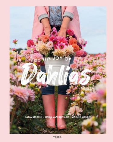 The joy of dahlias. volwassene