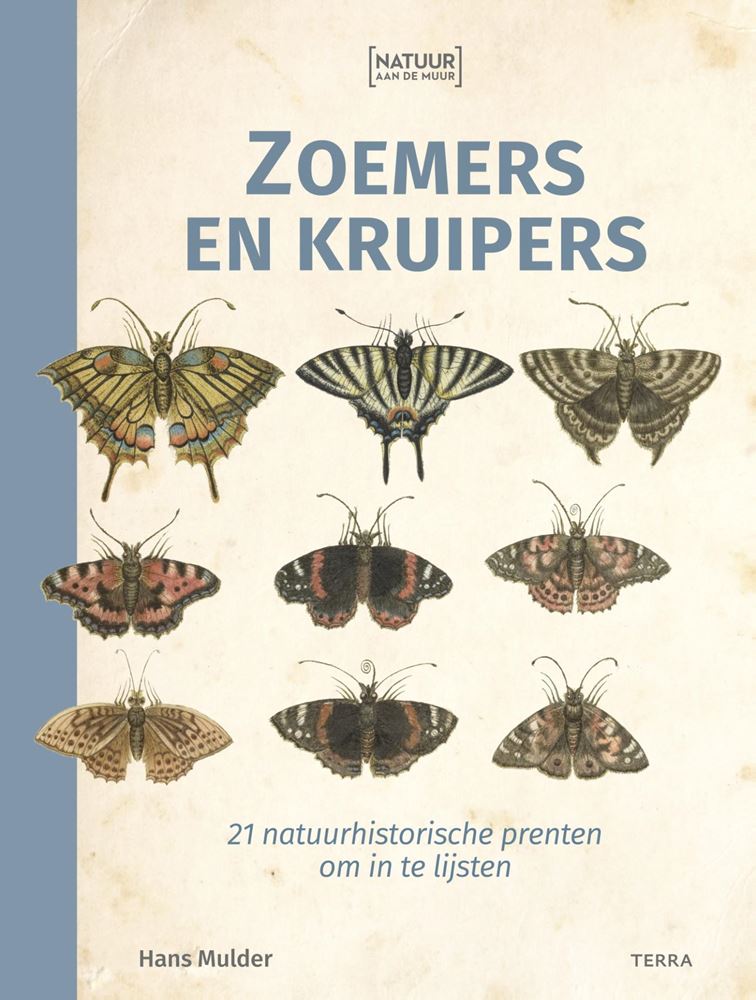 Load image into Gallery viewer, Natuur aan de muur, zoemers en kruipers.

