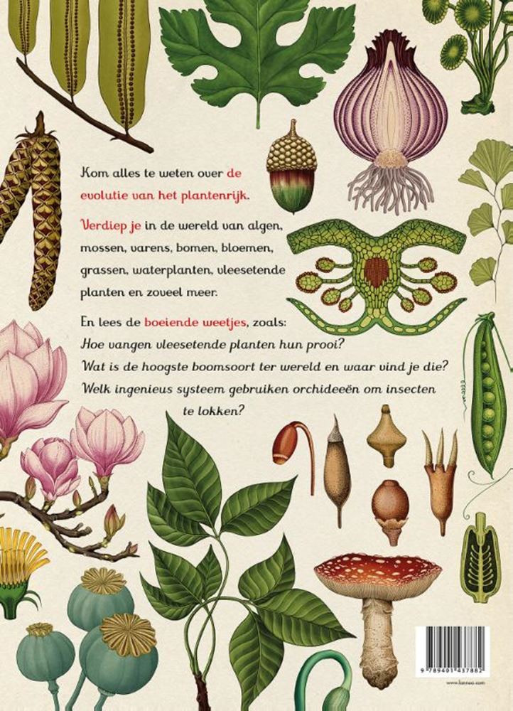 Load image into Gallery viewer, Het plantenboek. 8+

