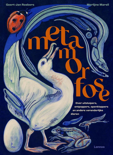 Metamorfose. 8+