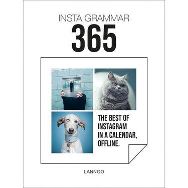 Insta grammer 365