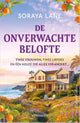 De onverwachte belofte -