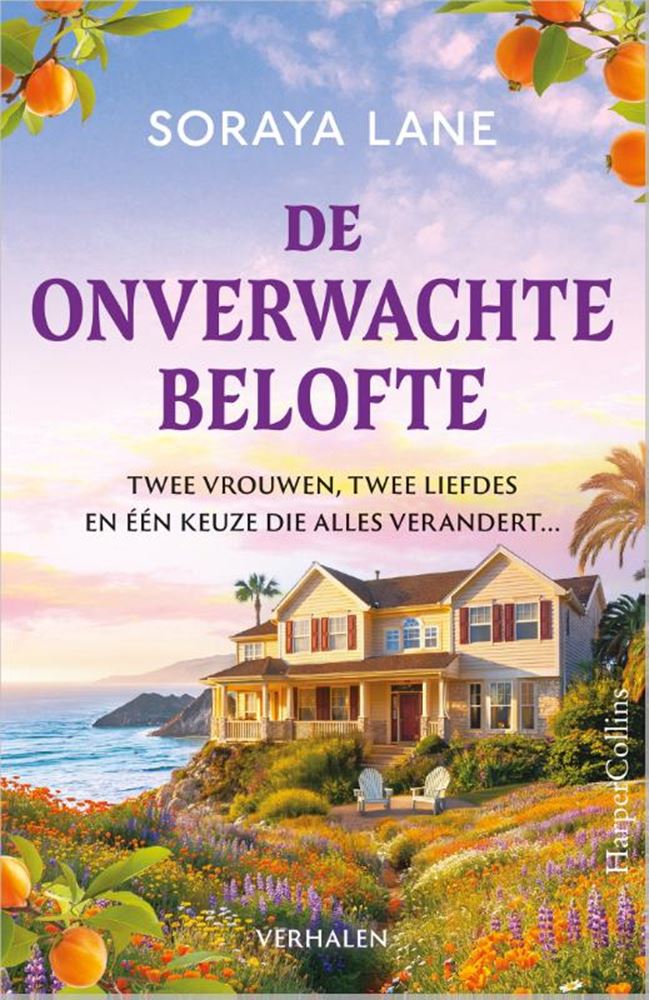 Load image into Gallery viewer, De onverwachte belofte -
