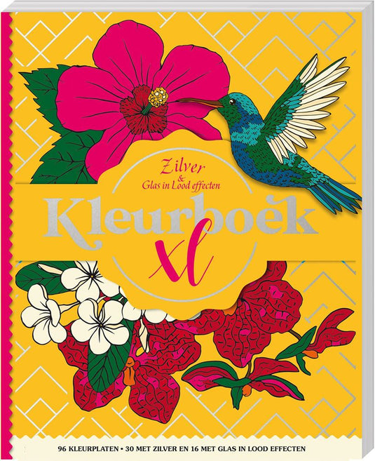 Kleurboek xl - zilver glas in lood eff