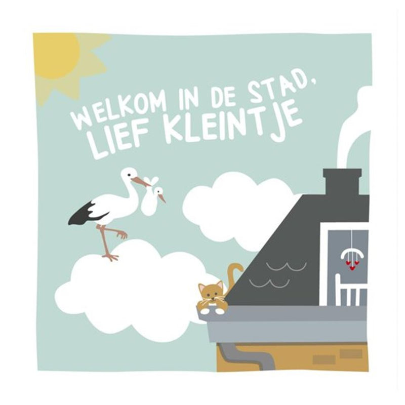 Load image into Gallery viewer, Boek specials nederland bv welkom in de stad, lief kleintje. stoffe

